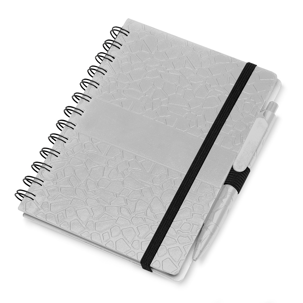 Caderno-Plastico-com-Pauta-17799-1701348164